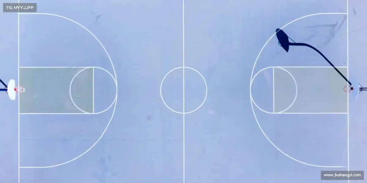 行业领先的理由